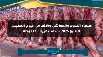 أسعار اللحوم والمواشي والأضاحي اليوم الخميس 8 مايو 2025 تشهد تغيرات ملحوظة
